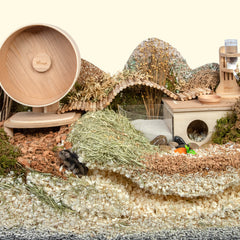 Niteangel Small Animal Aspen Bedding: - for Syrian Dwarf Hamster Gerbil Mice Lemming Degu or Other Small Pets