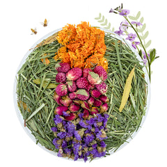 Niteangel Natural & Soft Hamster Bedding〔Forest Floor Series〕